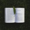 book-chpter-six-leaf-grass-read-reading-letters